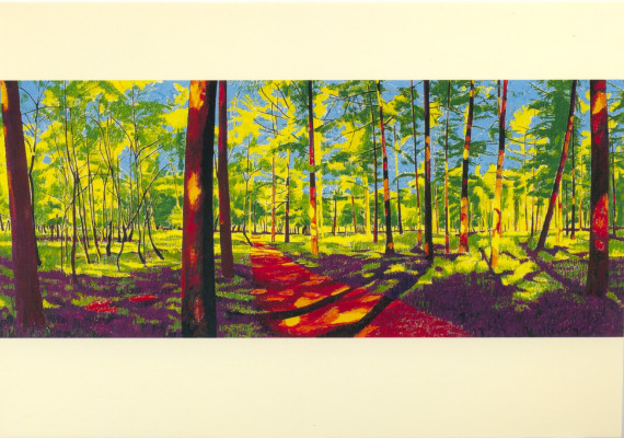 Kampina IV