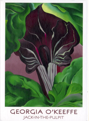 Georgia O'Keeffe Jack-in-the-pulpit