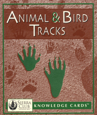 Animal & Bird tracks
