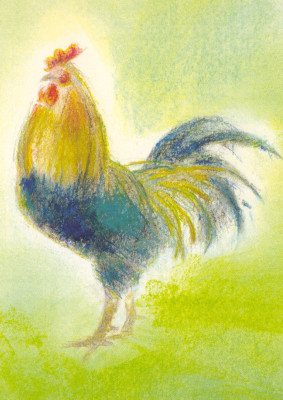 Hahn