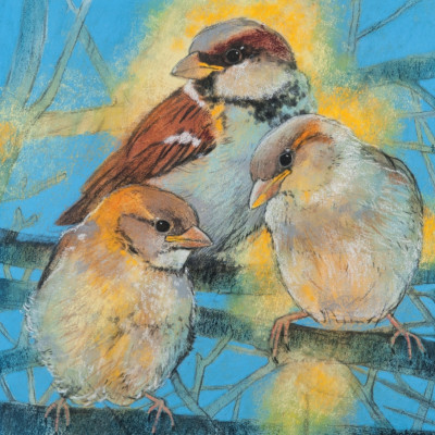 Spatz mit Jungen