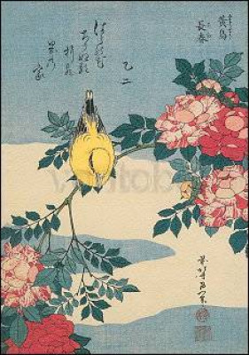 Japanische Nachtigall und Rosenzweig