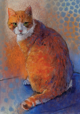 Kater
