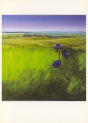 Violet attraction