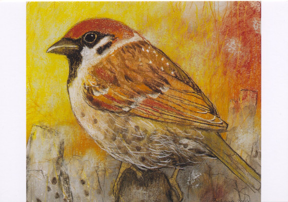Spatz