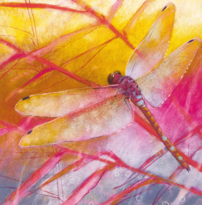 Libelle