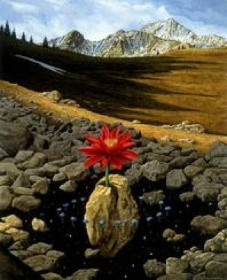 Fertile ground