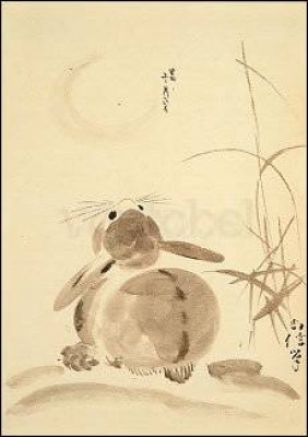 Hase betrachtet den Vollmond