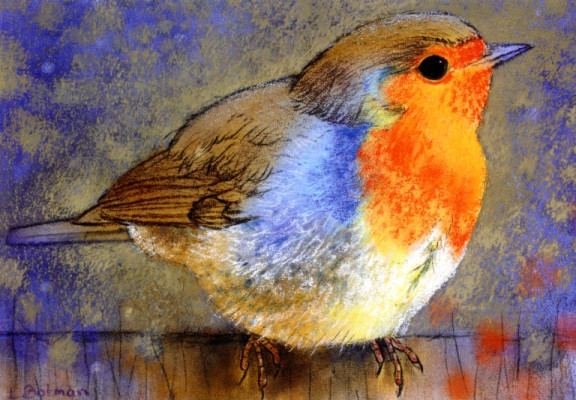 Rotkehlchen III