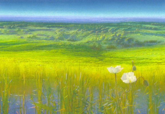 Innocent ground (detail)