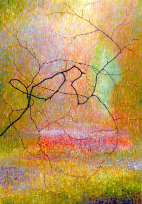 Hasel in Orange-Gelb-Grünfarben
