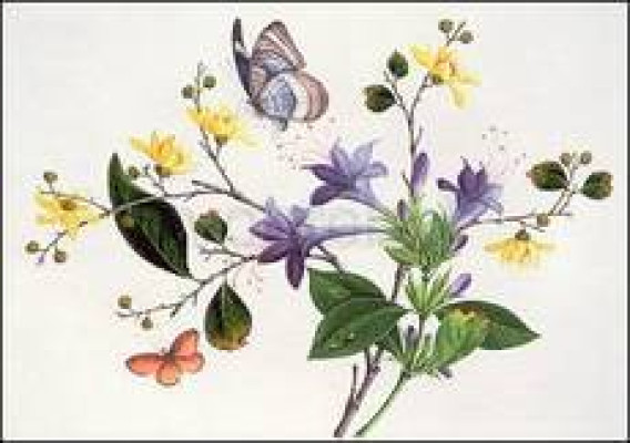 Blumenstudie und Insekten