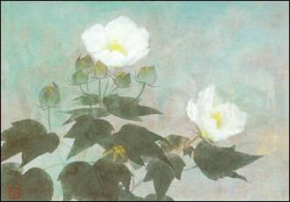Confederate roses