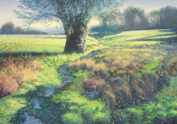Spring