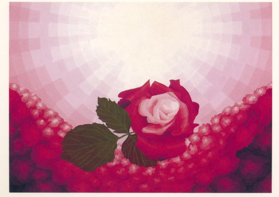 Rosenbeet