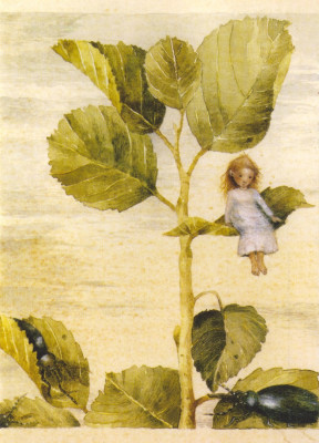 Andersen 2