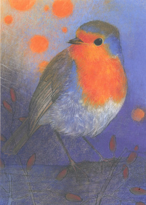 Klein Vogelbuch 2-Robin