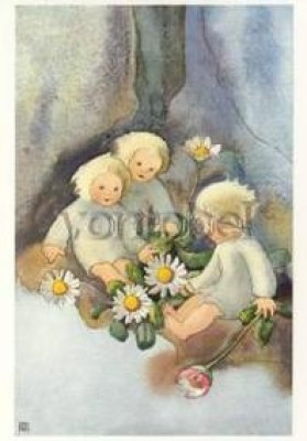 Gänseblümchen