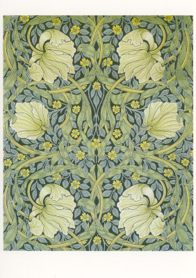 Pimpernel
