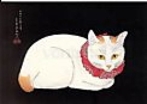 Katze mit rotem Halsband