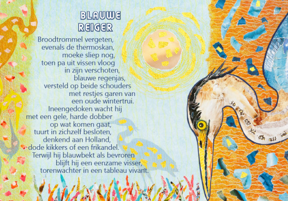 Blauwe reiger