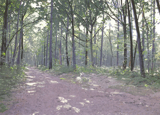 Waldweg