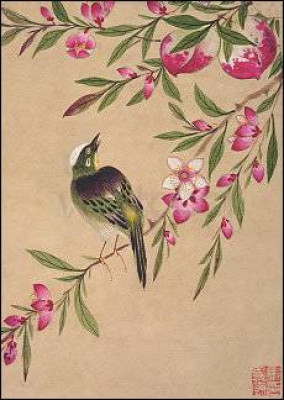 Vogel und Früchte