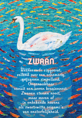 Zwaan