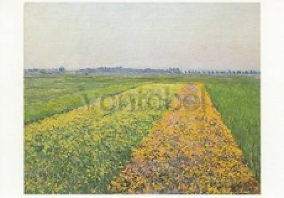 Die Ebene von Gennevilliers, gelber Felder