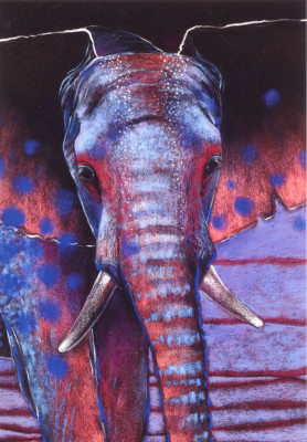 Elefant