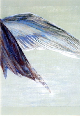 Engelflügel