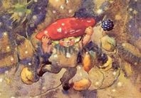 Der lustige Waldpilz