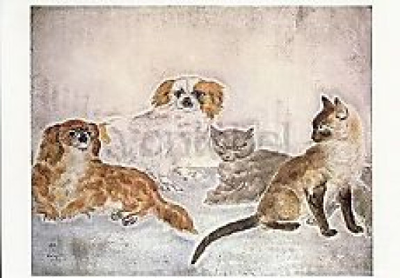 Hunde und Katzen