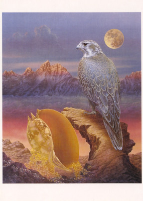 Spirit bird