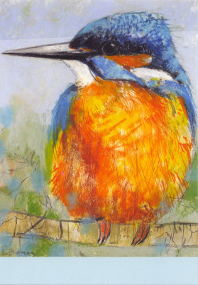 Eisvogel
