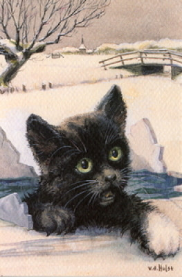 Die schwarze Katze 2