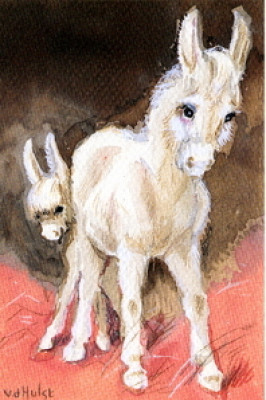 Der Esel