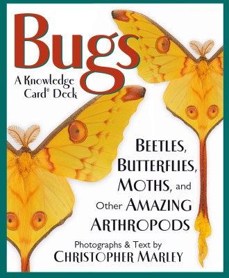 Bugs