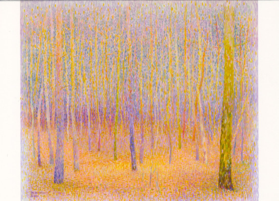 Mutterwald