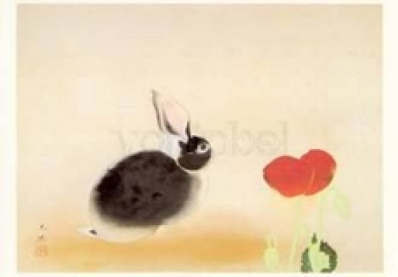 Kaninchen