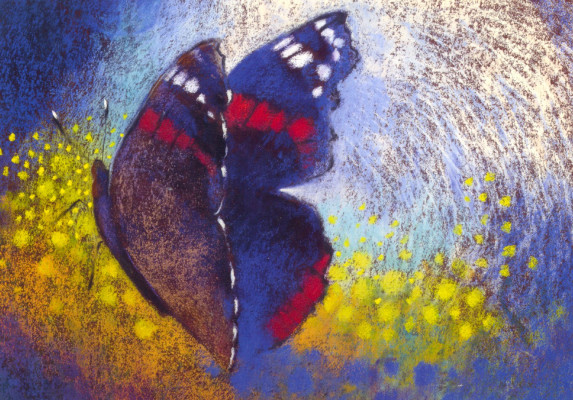 Schmetterling