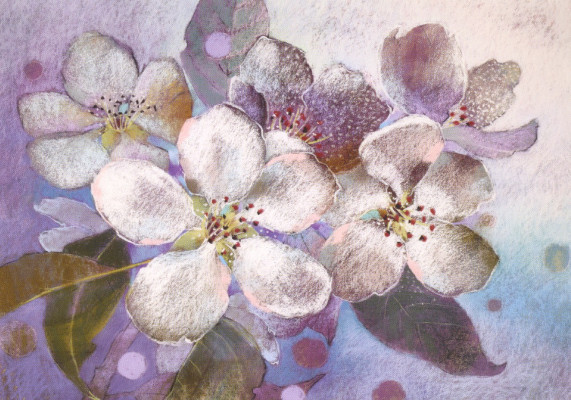 Pflaumenblüte
