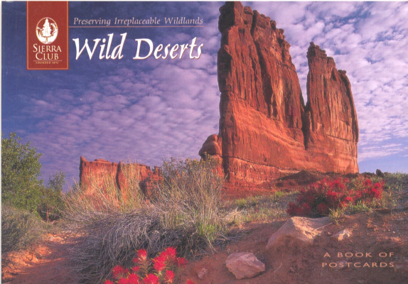 Wild deserts