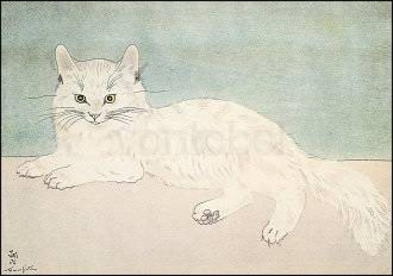 Weisse Katze