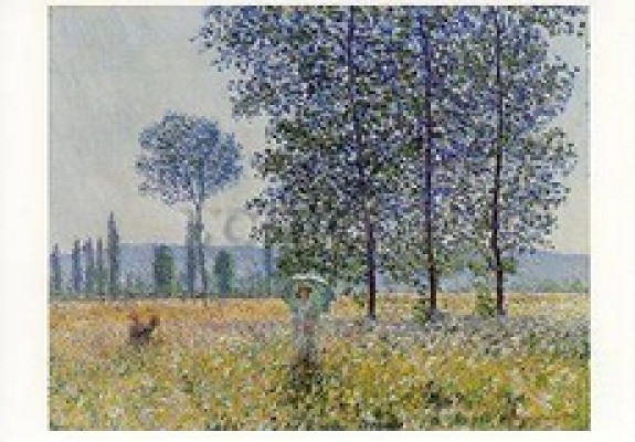 Felder im Frühling