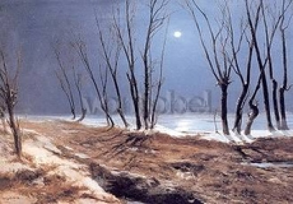 Landschaft im Winter bei Mondschein