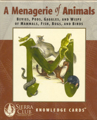 A menagerie of animals