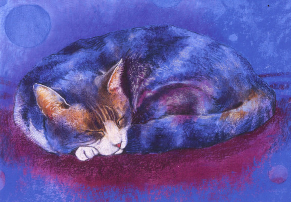 Klein Schlaftierenbuch 3-Katze