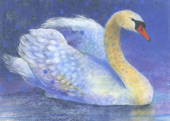 Klein Vogelbuch 4-Schwan