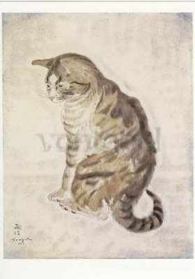 Katze